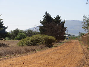 Capetown prison road Mandella walked when freed