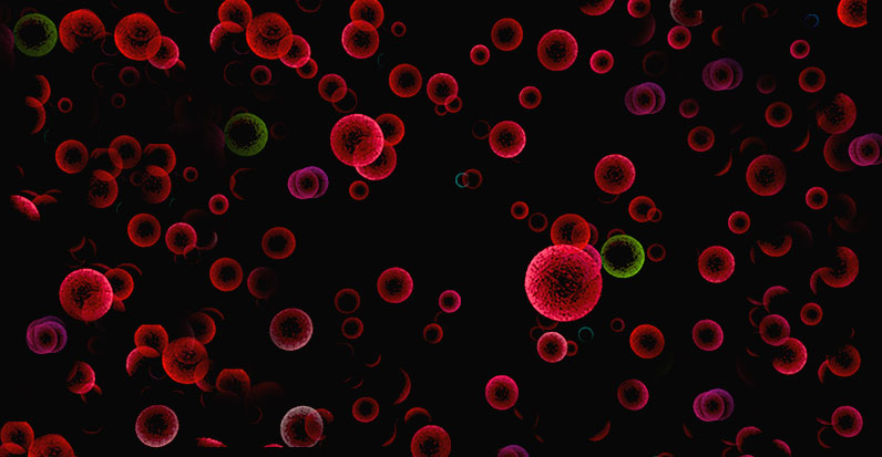 Bettina_Web Cosmic lights from Love Contraception, a story by Joram Piatigorsky