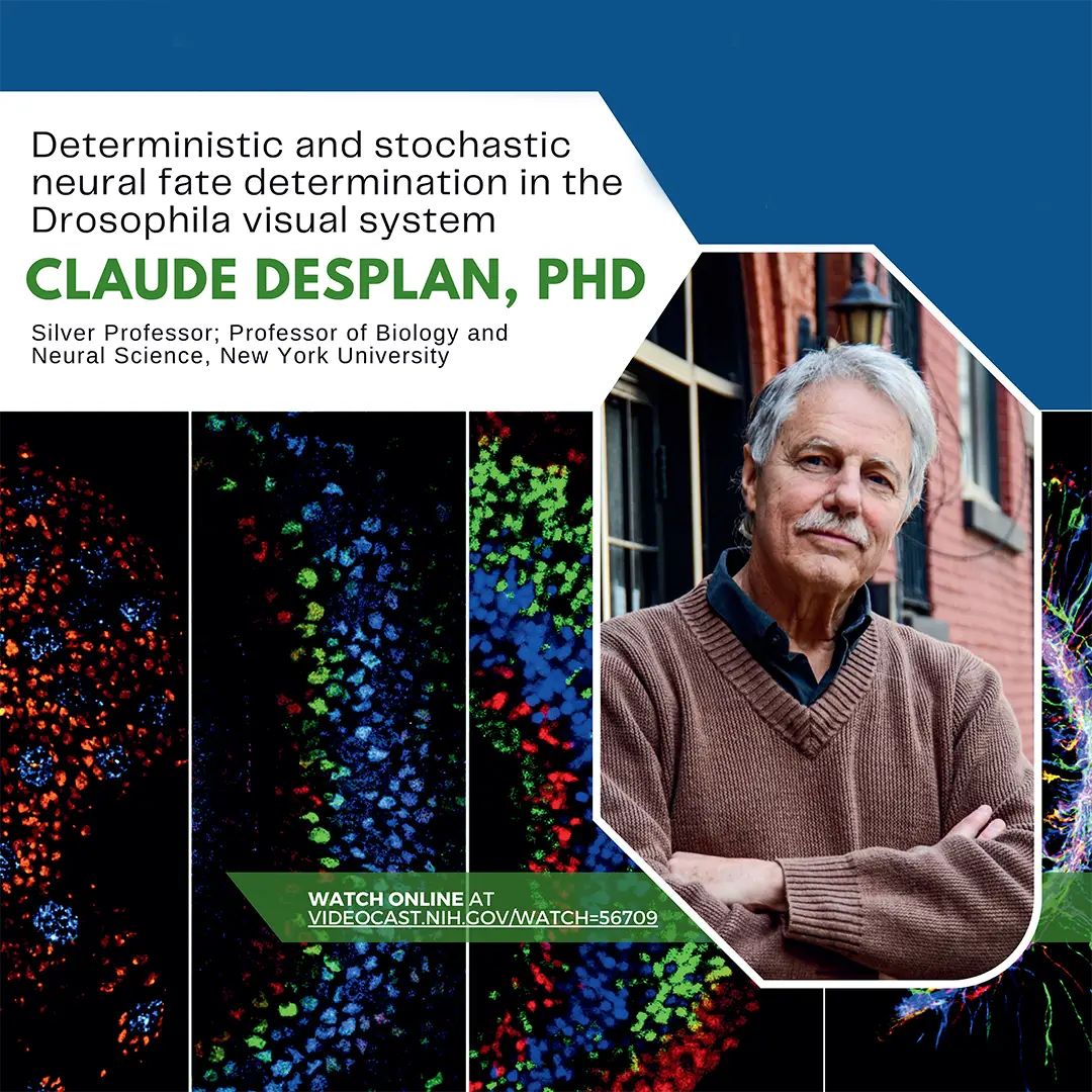 Claude Desplan, Ph.D. from New York University, delivered the 2025 Joram Piatigorsky Basic Science Lecture and Award.